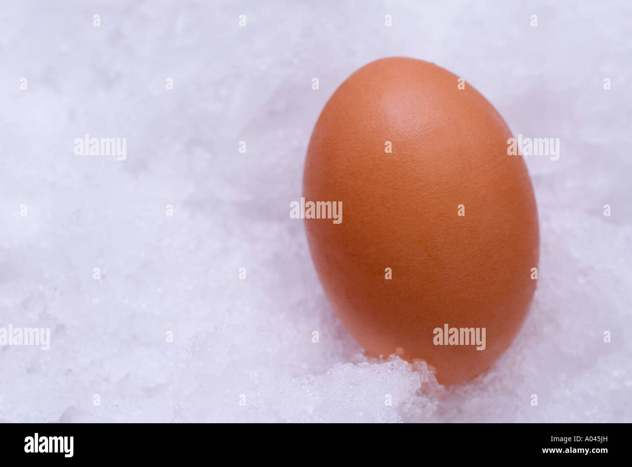Egg in ice Stock Photo Alamy