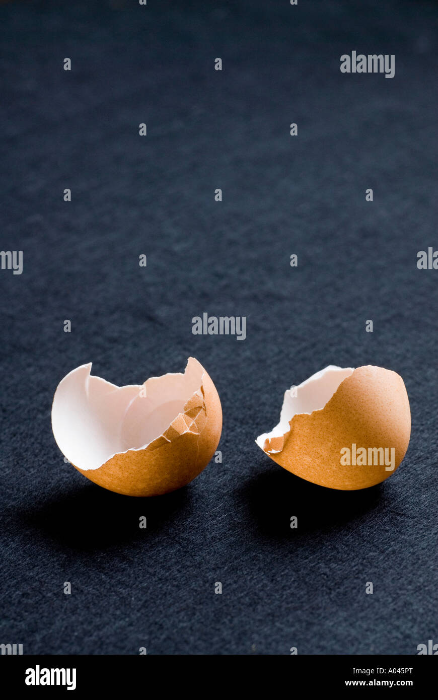 Split shells hi-res stock photography and images - Alamy