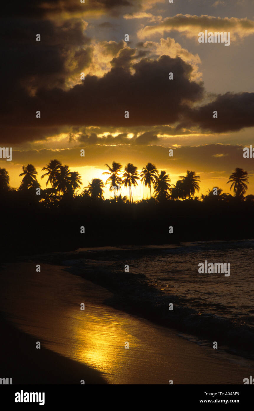 Sunset sky palms clouds hi-res stock photography and images - Alamy