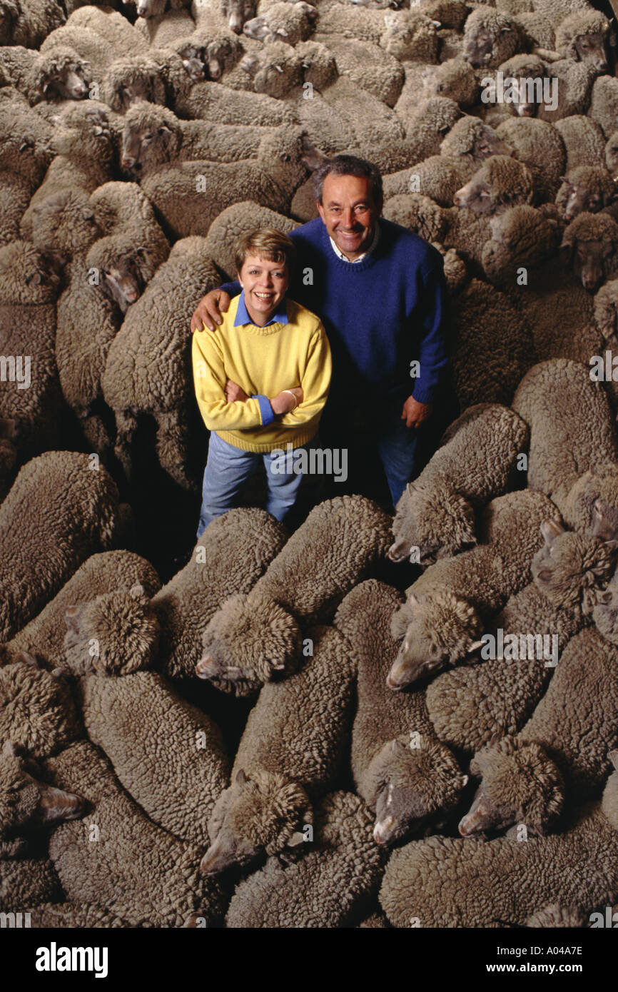 Australian farmers Clare and Allan McShane in their woodshed at Lemont with some of their 11,000 sheep producing superfine wool in circa 2001. Stock Photo