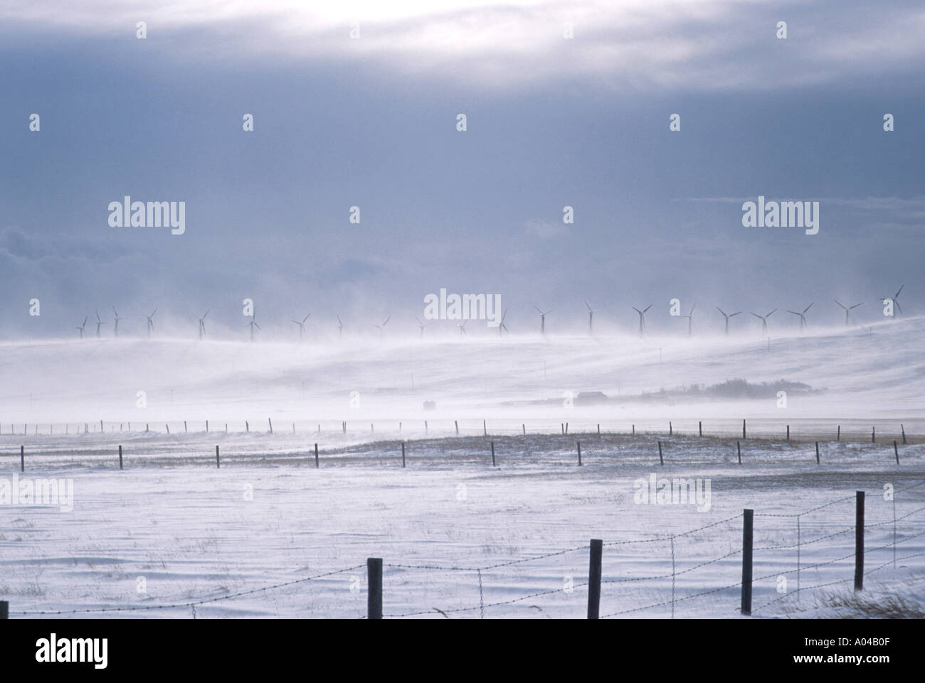 winter blizzard on prairies Alberta Canada Stock Photo