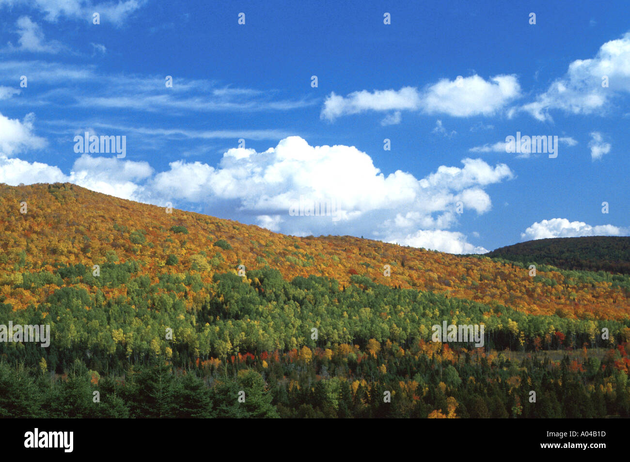 hardwood ridge during fall Stock Photo - Alamy
