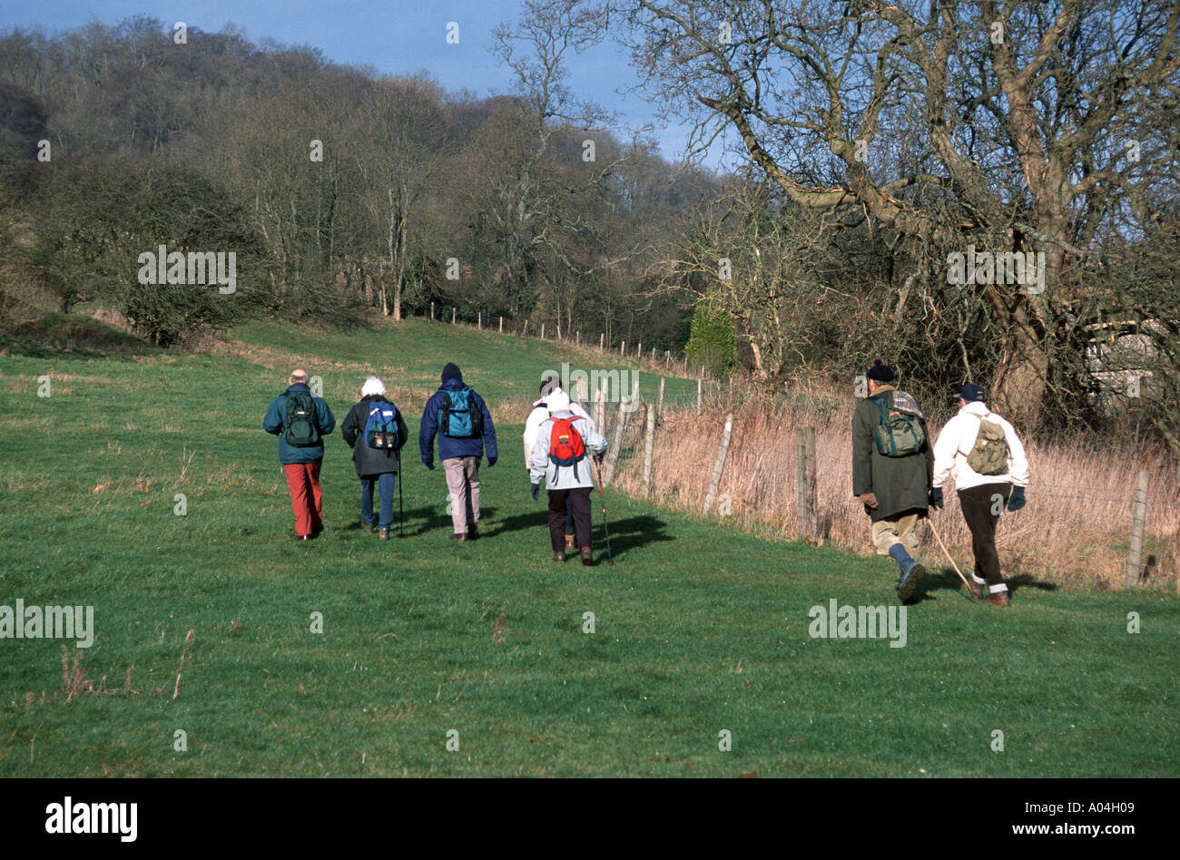 Senior walkers walking on Cotswold Way Cotswolds UK Stock Photo Alamy