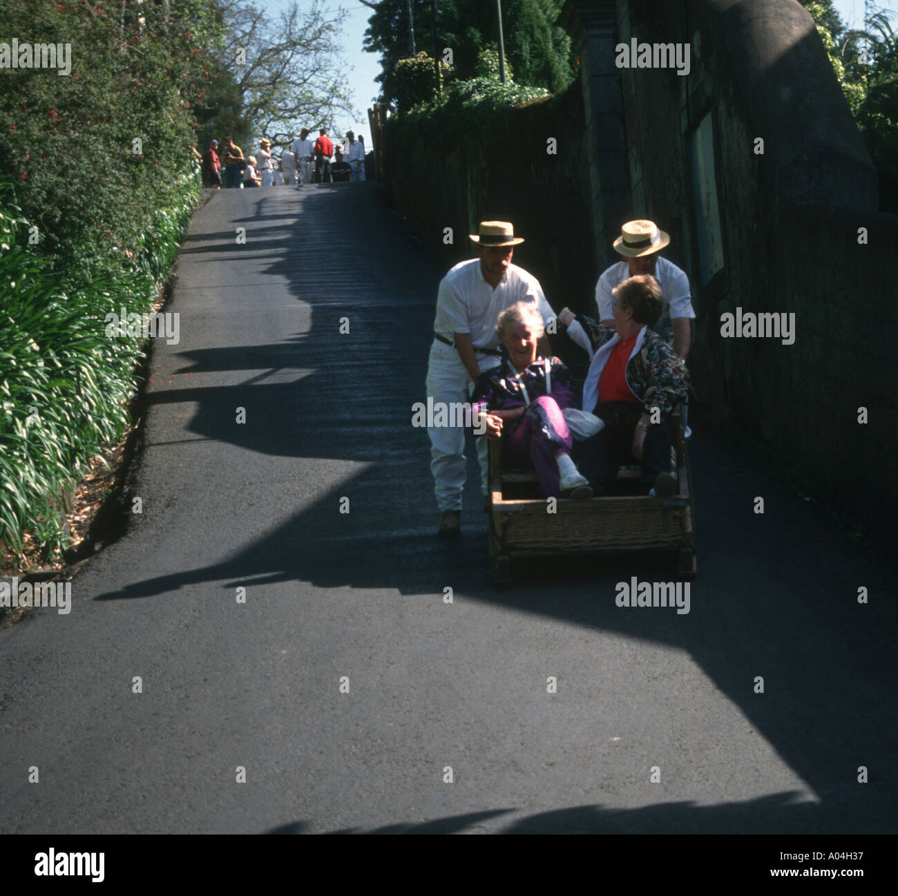 Toboggan ride from Monte to Funchal Madeira Stock Photo Alamy