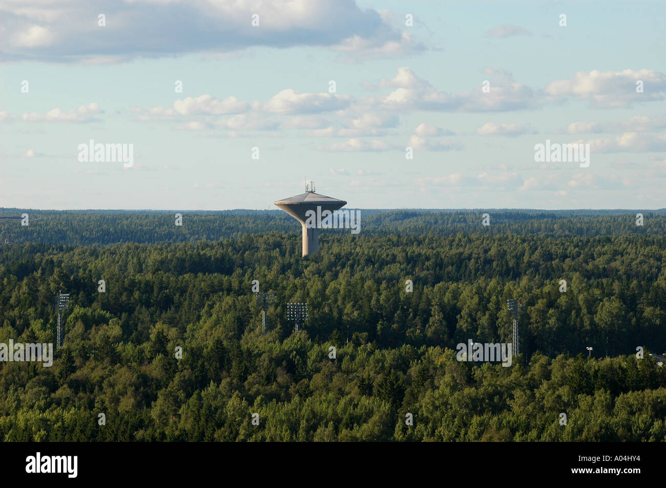 Outskirts of the forest hi-res stock photography and images - Alamy