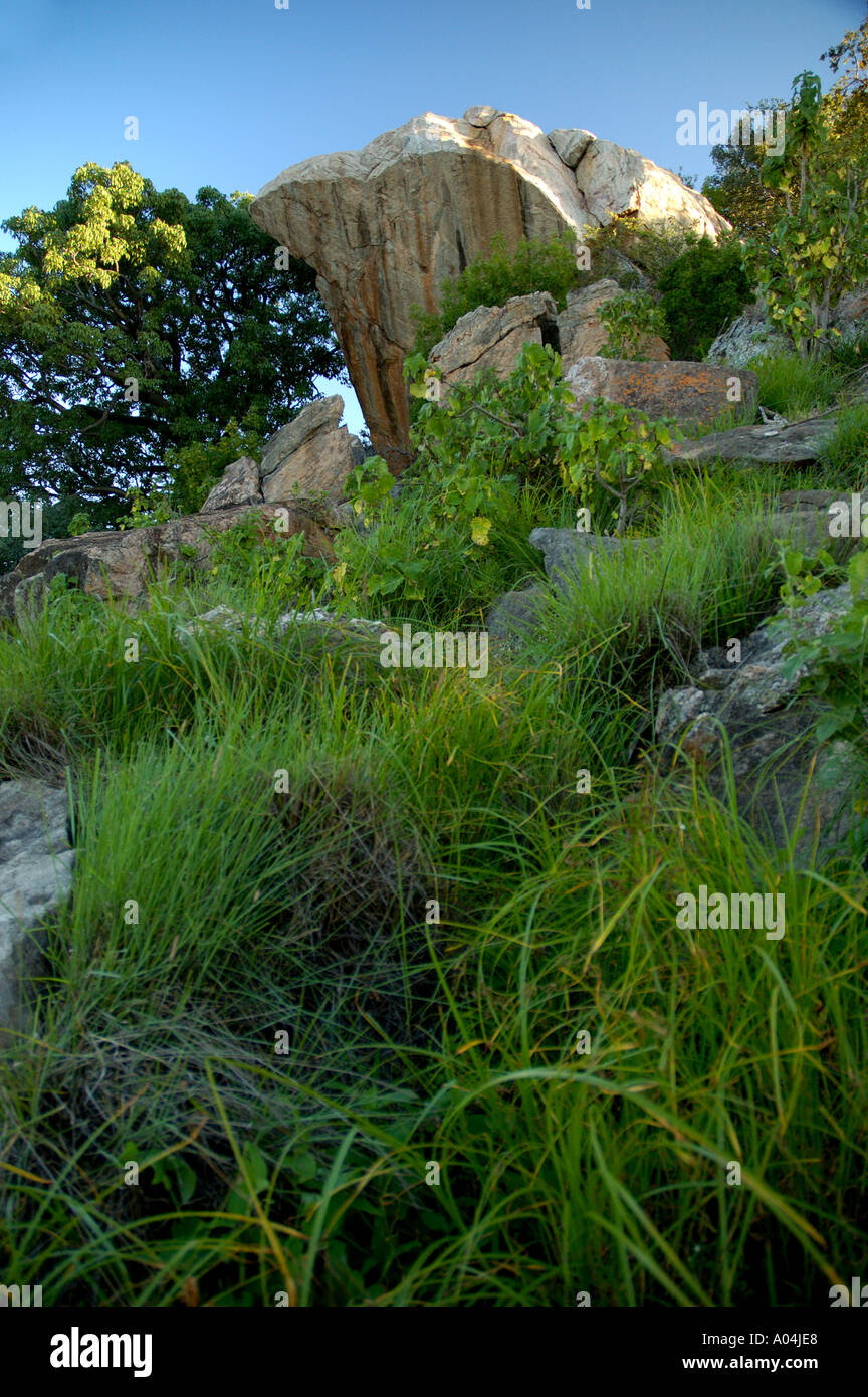 The original Pride Rock originally known as Frog Rock on the slopes of