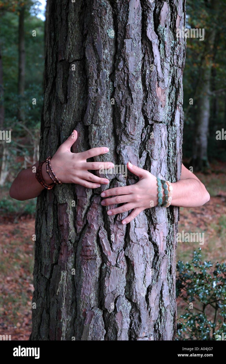 Arms wrapped around tree Stock Photo Alamy