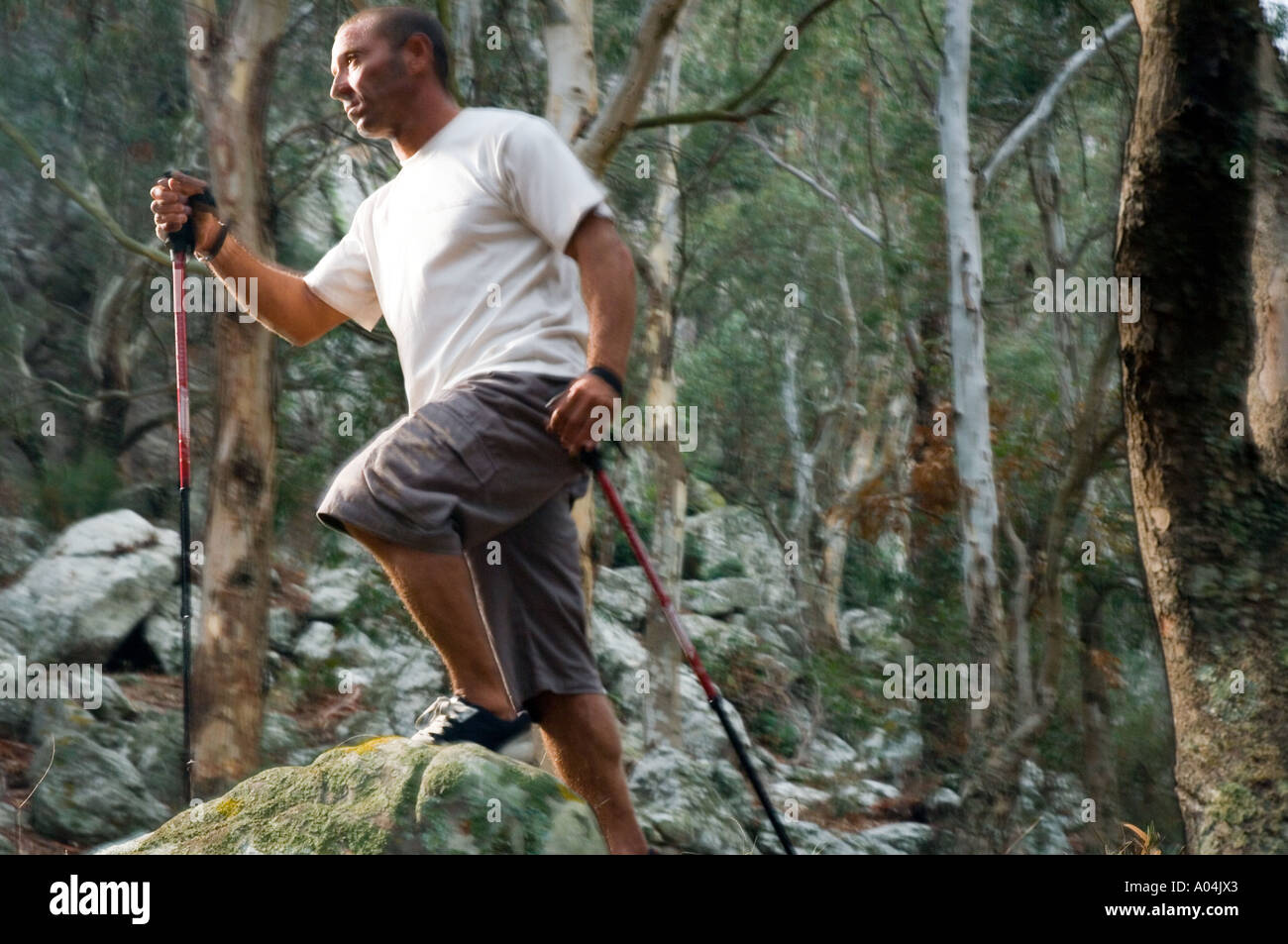 Temerarious Trekker - The Wilderness Stock Photo