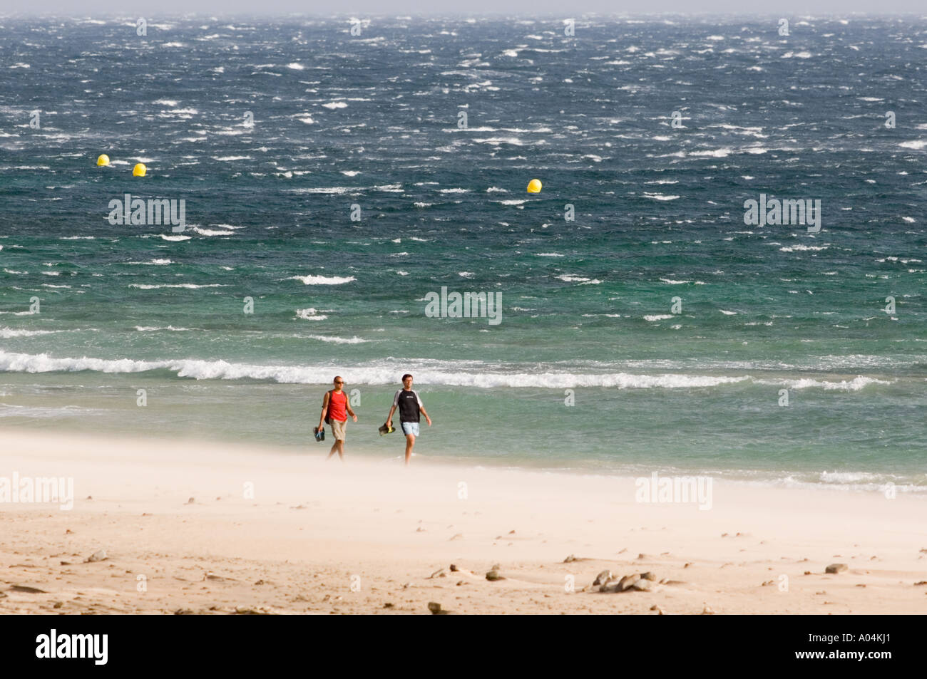 People Walking a Gusty Coastline Stock Photo