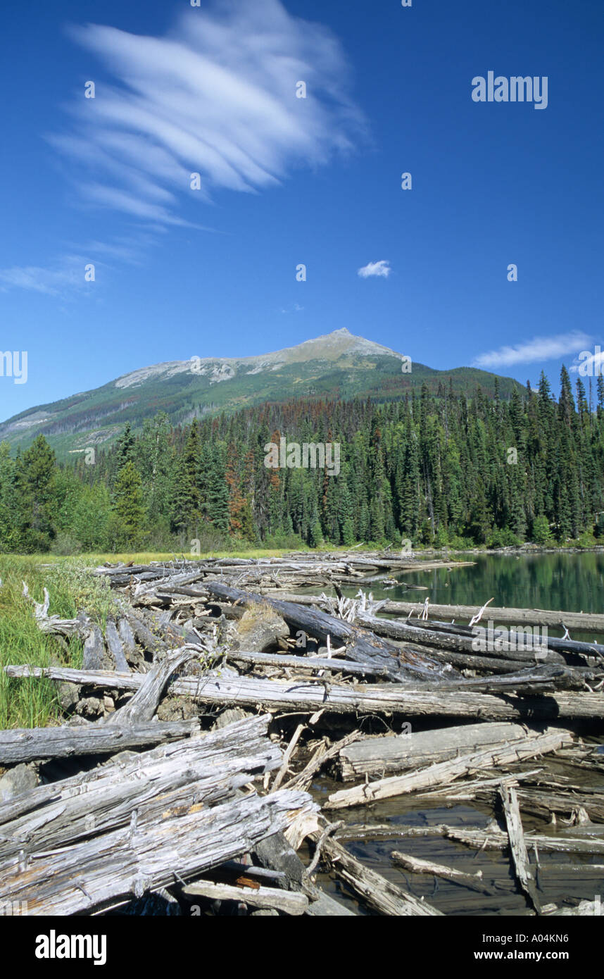 Ghost Lake Recreation Site Cariboo Mountains Provincial Park British
