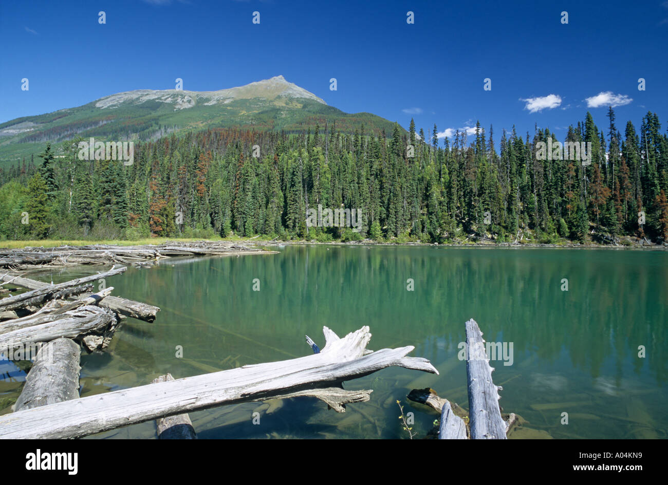 Ghost Lake Cariboo Mountains Provincial Park British Columbia Stock