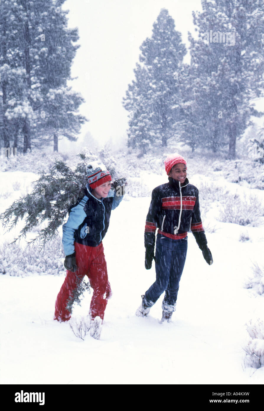 30,651.10100 Boys smiling as they gather and carry a Christmas tree they cut in the forest in during a snowfall snow.  Colors blue red black Stock Photo