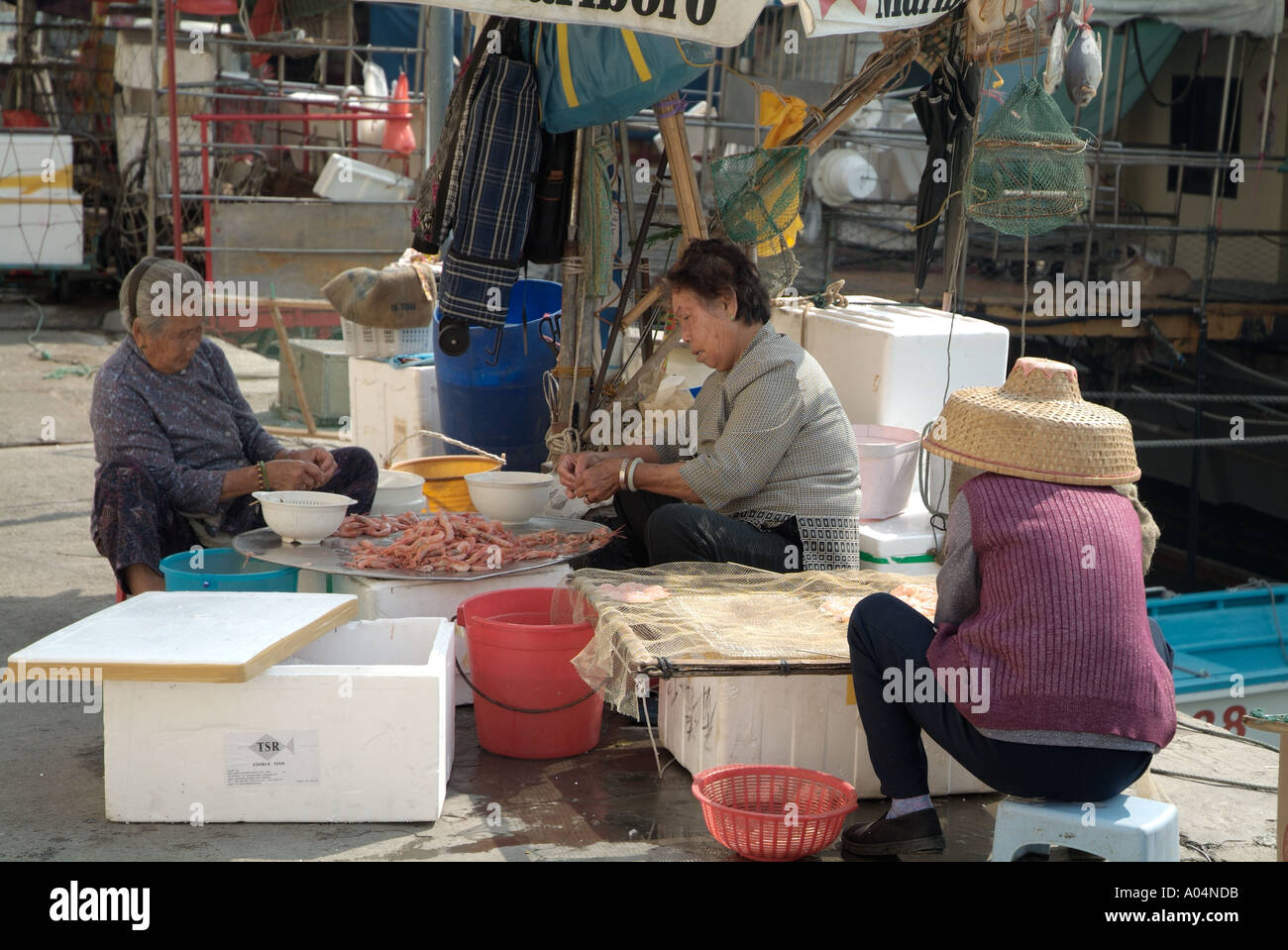 dh Chinese women Fish market ABERDEEN HONG KONG Grading fresh seafood prawns hk traditional people china elderly workers Stock Photo