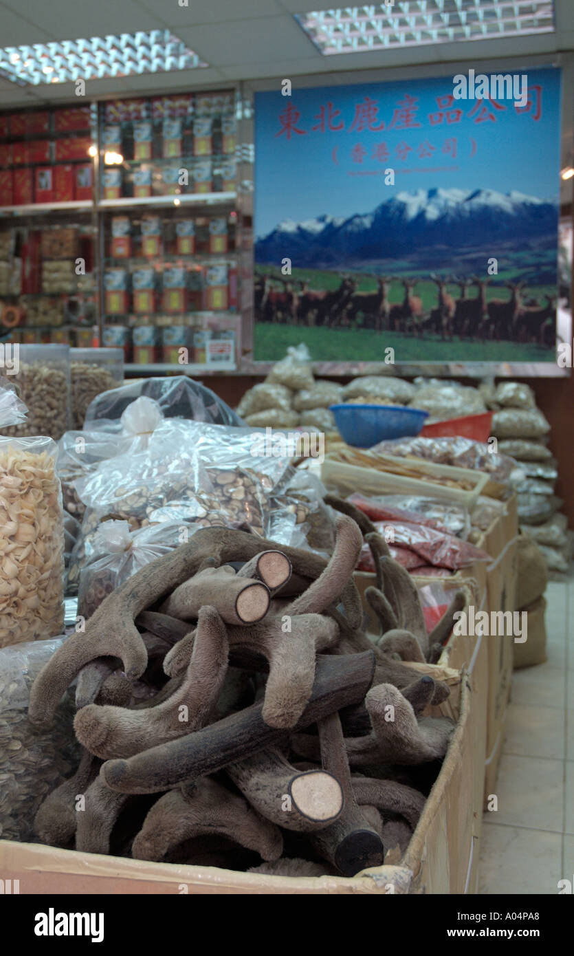 dh Ko Shing Street SHEUNG WAN HONG KONG Traditional oriental Chinese Herbal medicine shop deer antlers china western Stock Photo