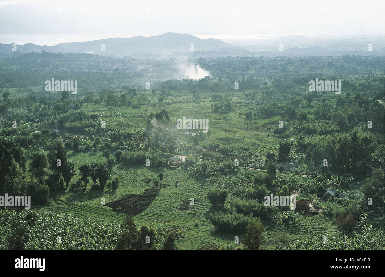 Aerial view of farmland a few miles east of Gisenyi in North West