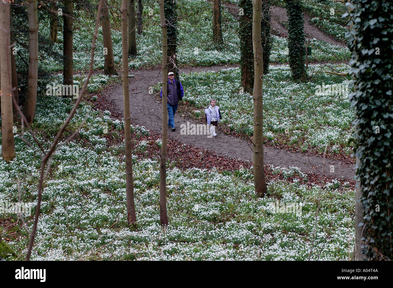VISITORS TO THE WALSINGHAM ESTATE LITTLE WALSINGHAM NORFOLK ,ENGLAND