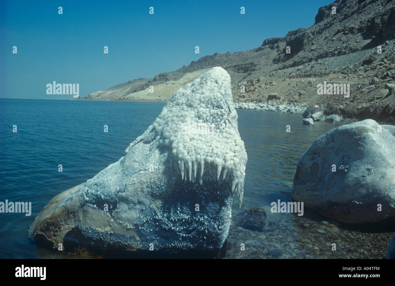 Dead sea shoreline salt hi-res stock photography and images - Alamy