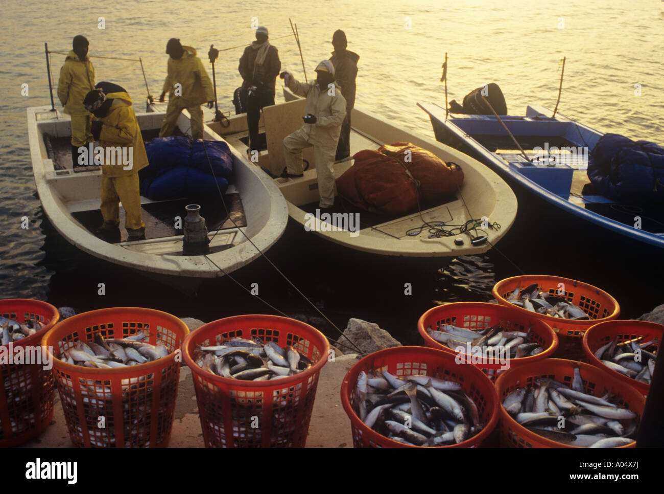 Fishing in kuwait hires stock photography and images Alamy