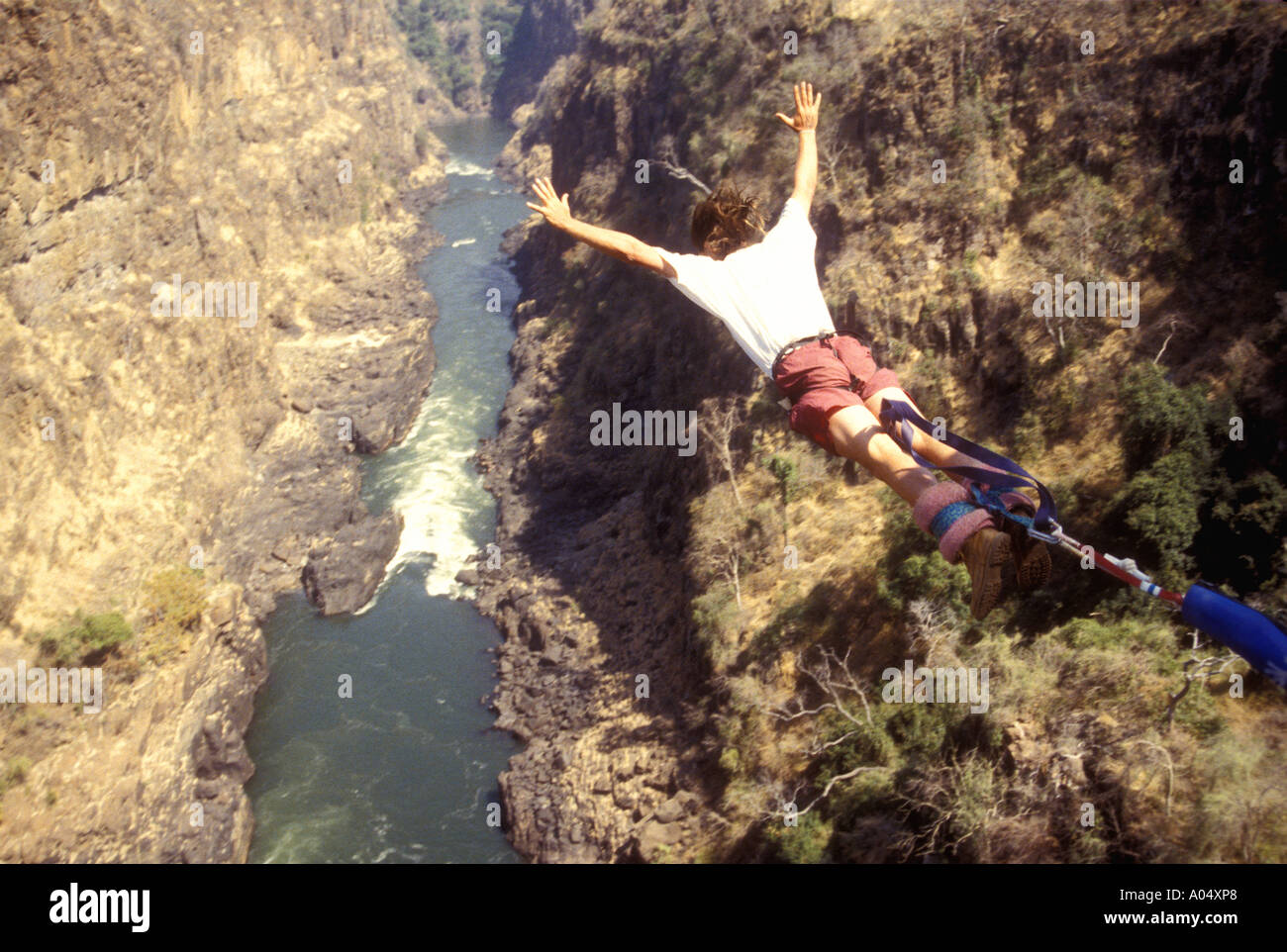Bungee jumping into the Batoka Zambezi River Zimbabwe Africa