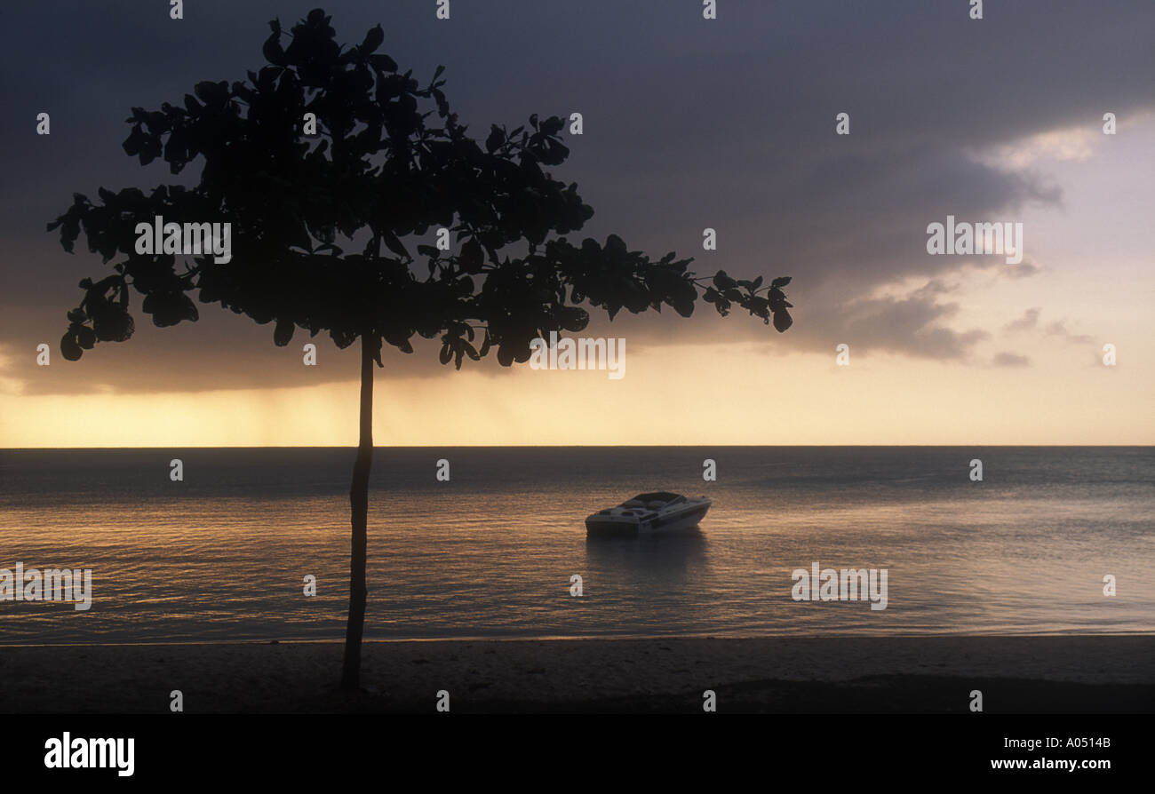 Tropic sea hi-res stock photography and images - Alamy