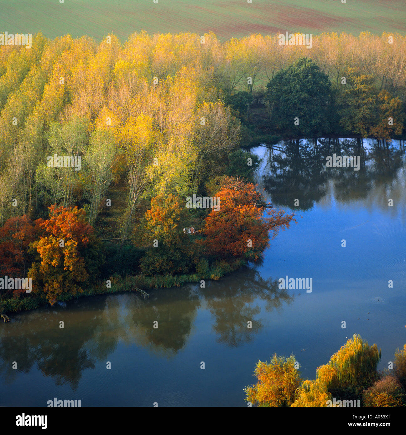 Aerial green trees in lake hi-res stock photography and images - Alamy