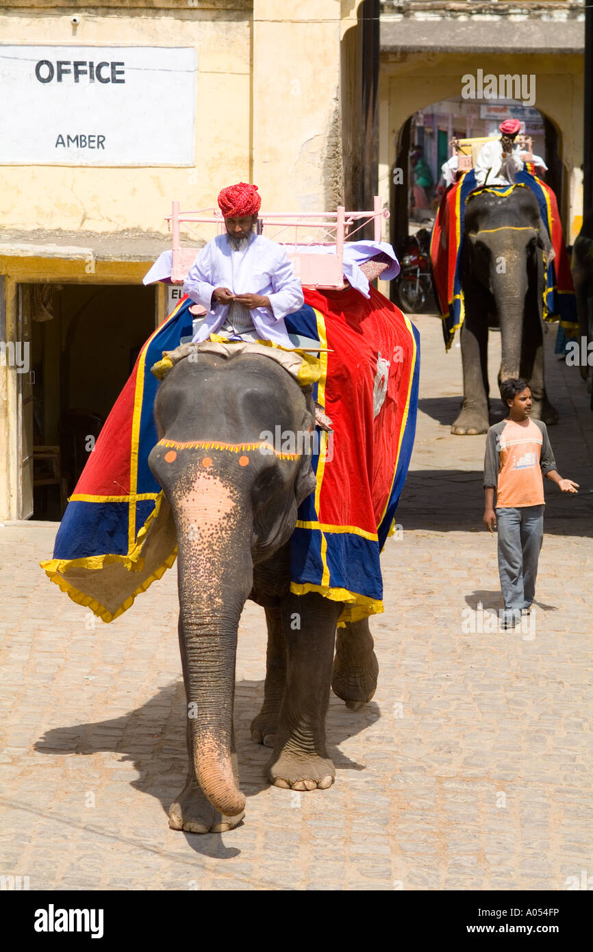 Colorful elephant rides at Amber Fort in Jaipur Rajasthan India Stock ...