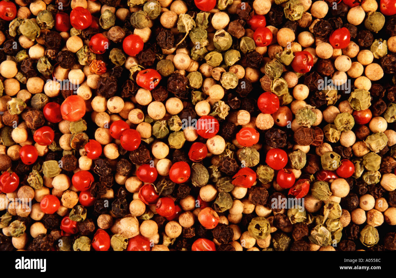spice pepper corns mixed red green white black kitchen cooking food Stock Photo