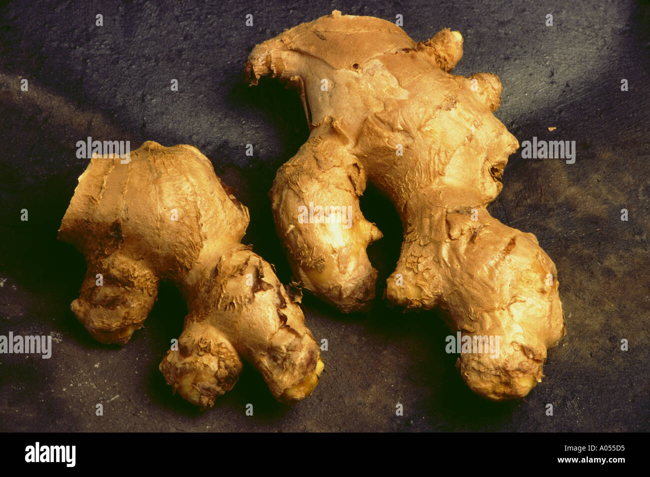 ginger root spice medicinal herb Stock Photo Alamy