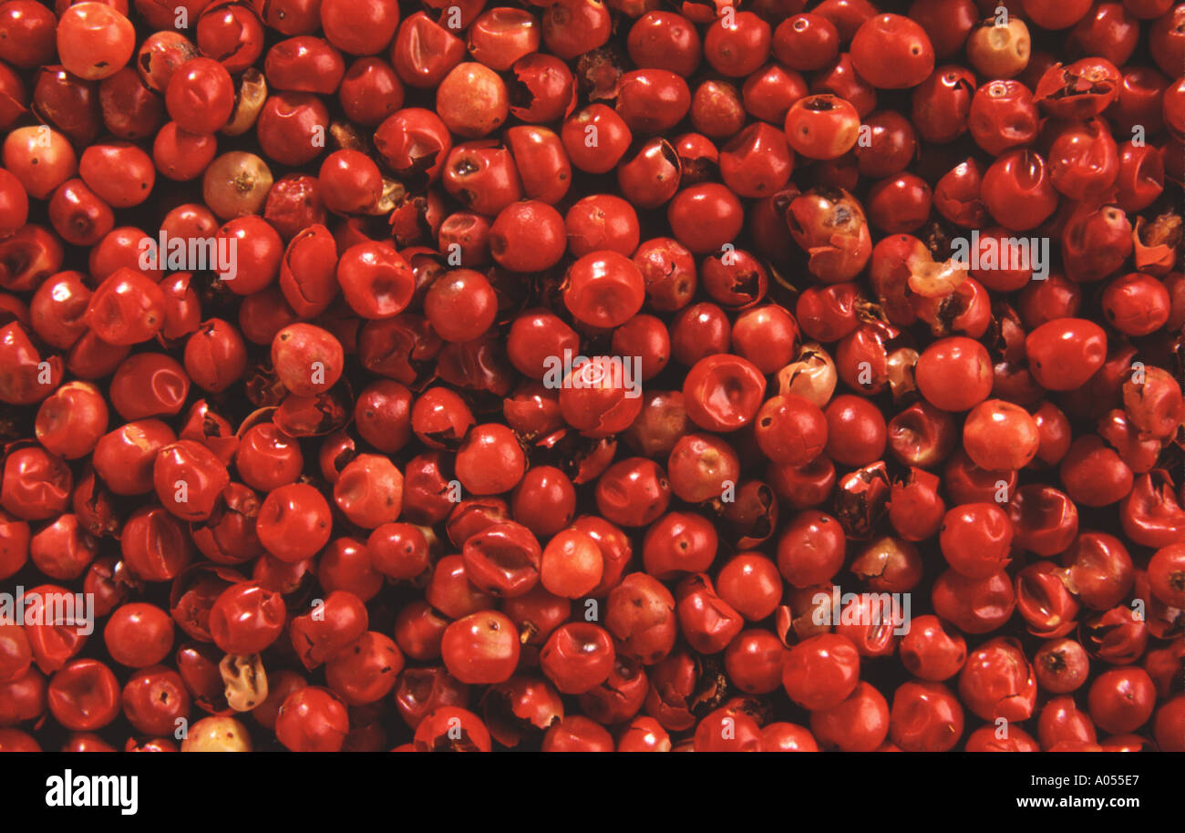 Spice Red pepper fruits kitchen condiment cooking Stock Photo Alamy