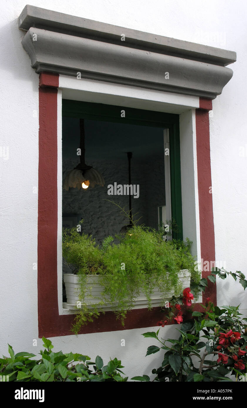 Window box with ferns and plants Stock Photo Alamy
