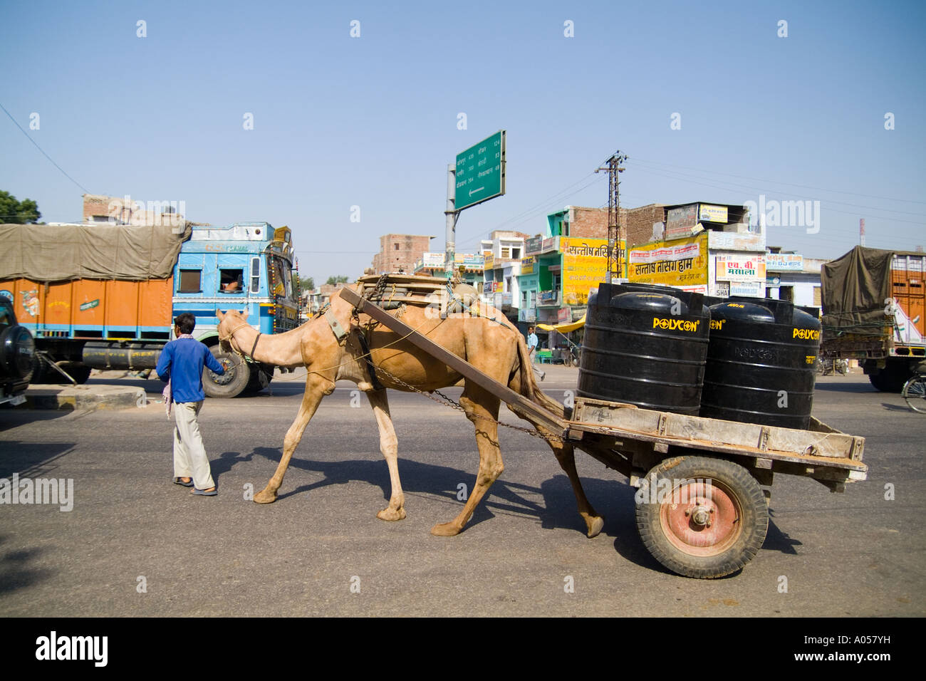 Camel driven vehicle slowly goes by with load in small village of Shahpura in Rajasthan near Jodhpur India Stock Photo