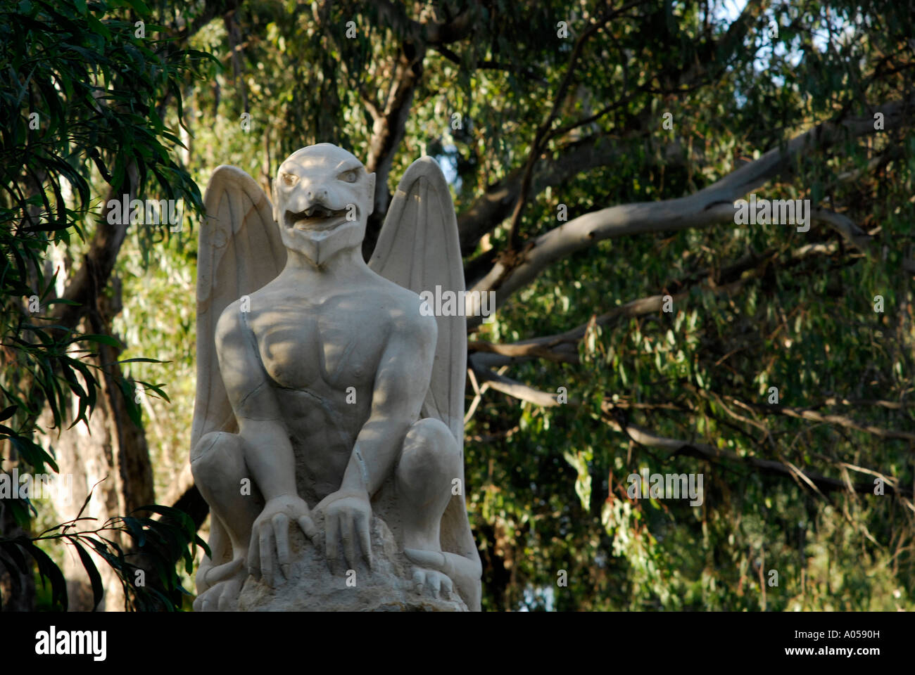 gargoyle in Australian bush Stock Photo Alamy