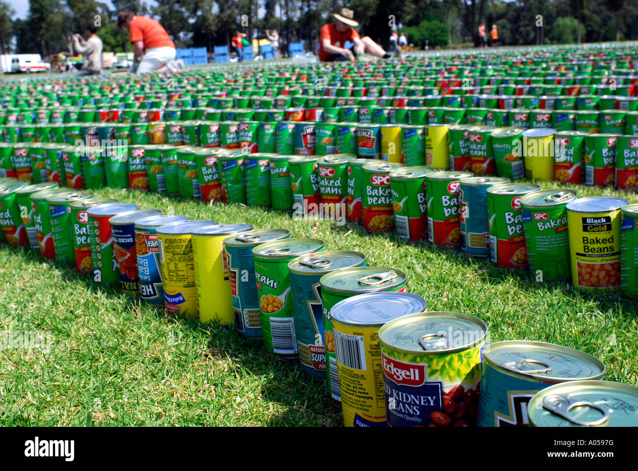 closeup of world record number of cans of baked beans arranged in a