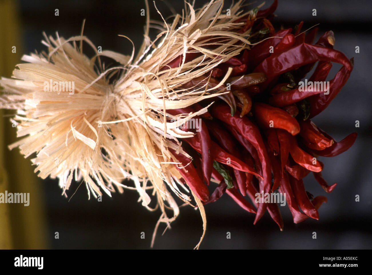 Chilli pepper decoration Stock Photo