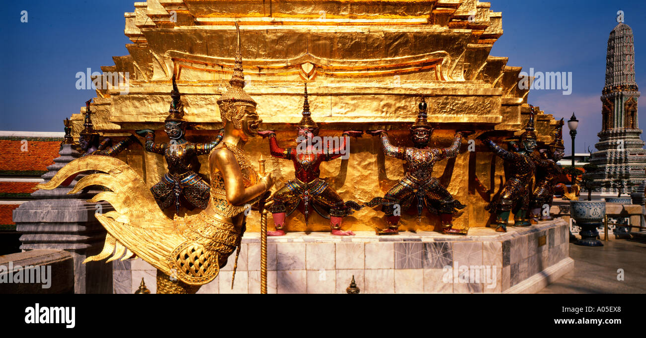 洋蘭フラグミPhrag.Elizabeth Castle 花芽付き