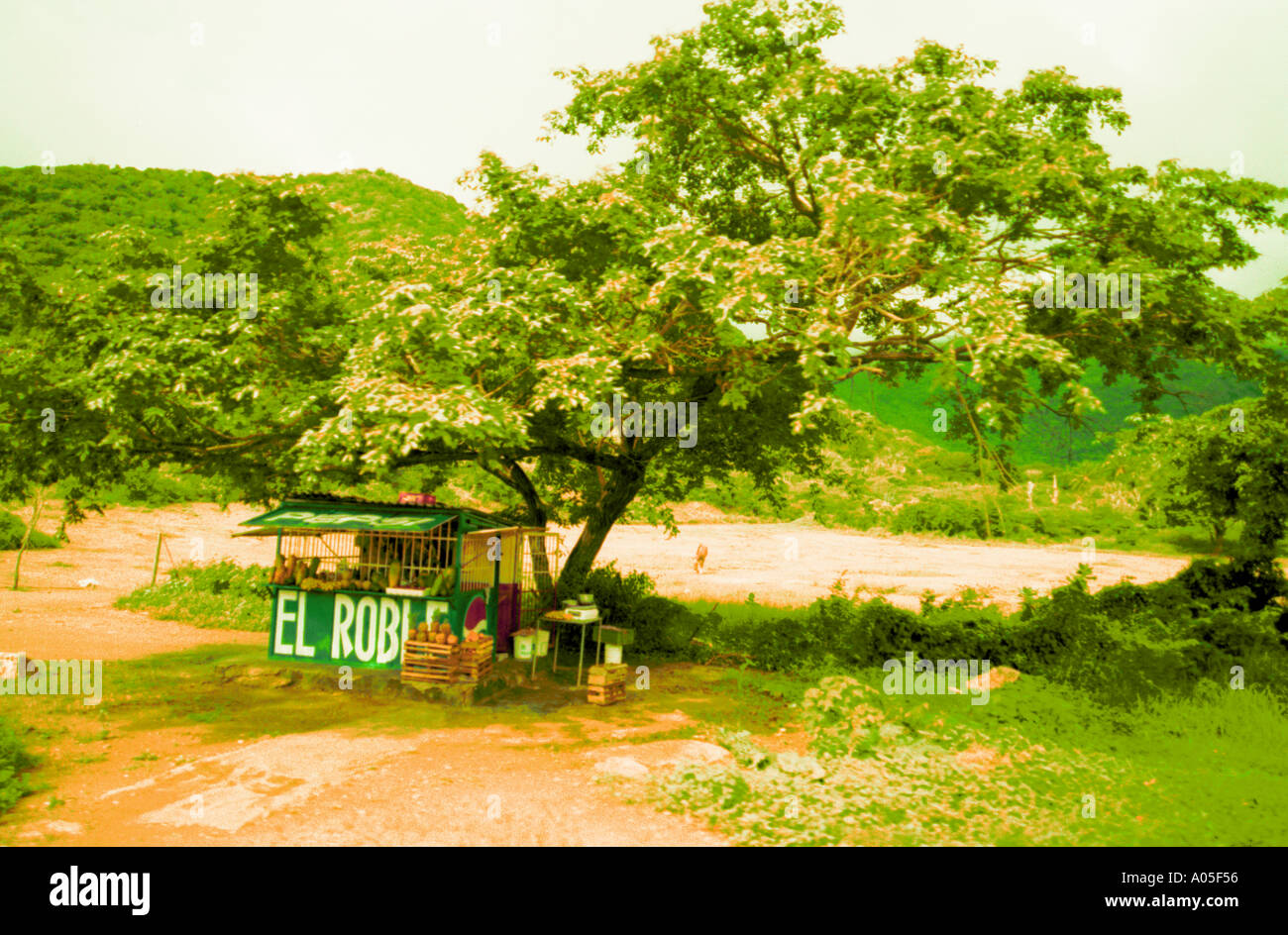 Farm store along highway Margarita Island 321 Stock Photo Alamy