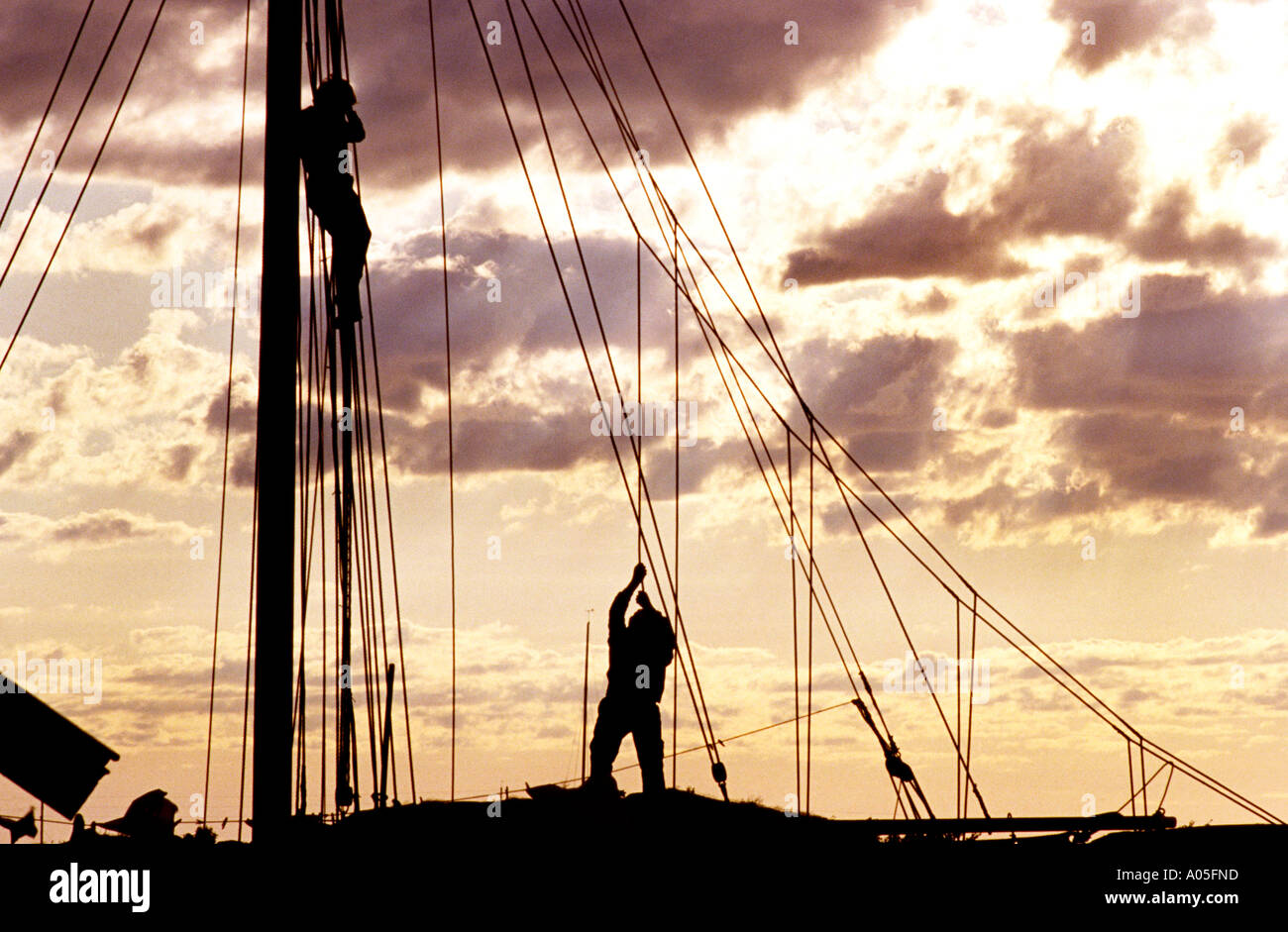 Crew climbing rigging. Havstenssund, Bohuslan, Sweden Stock Photo Alamy