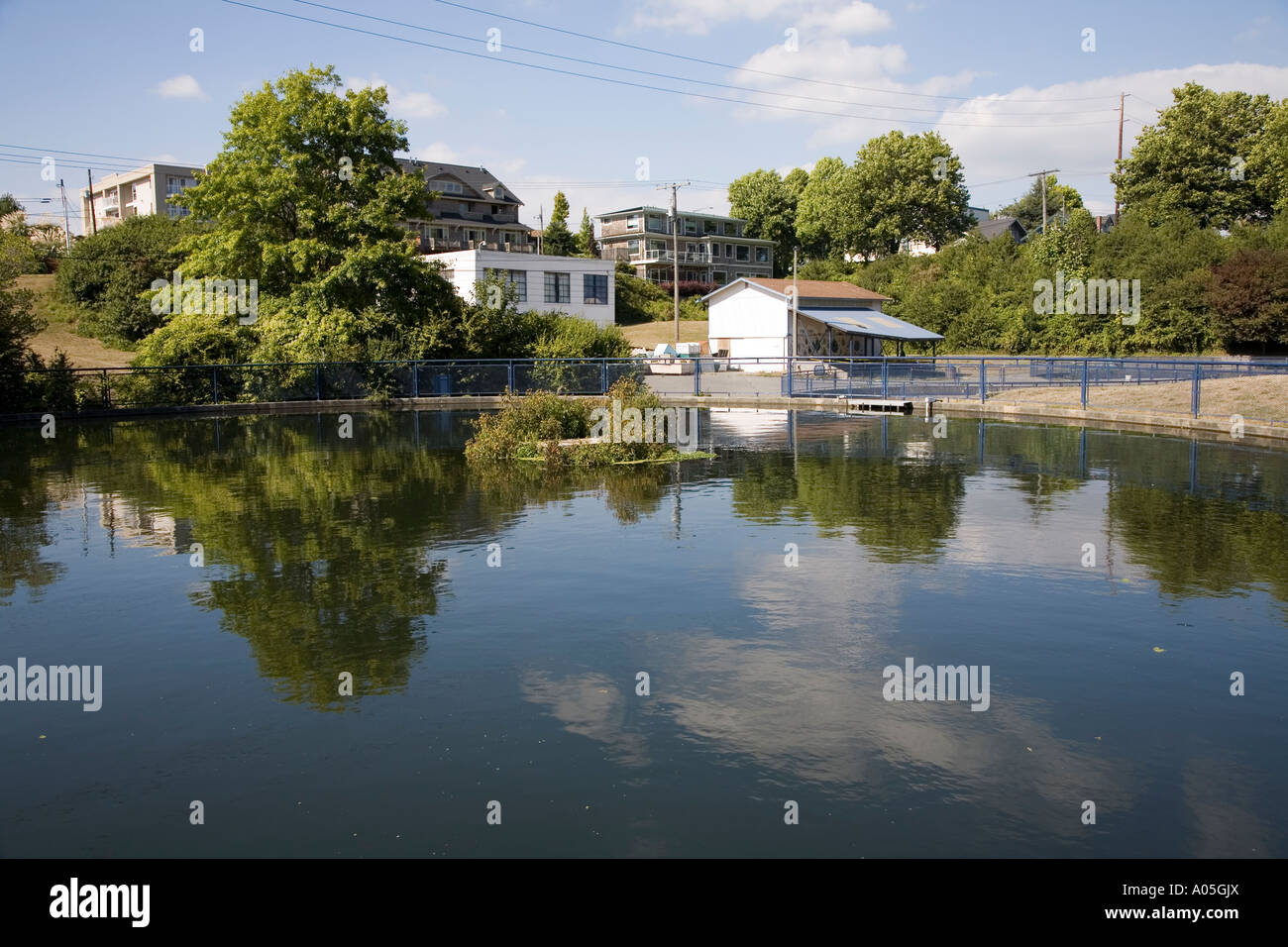 Rearing pond at Creek salmon hatchery Bellingham Washington
