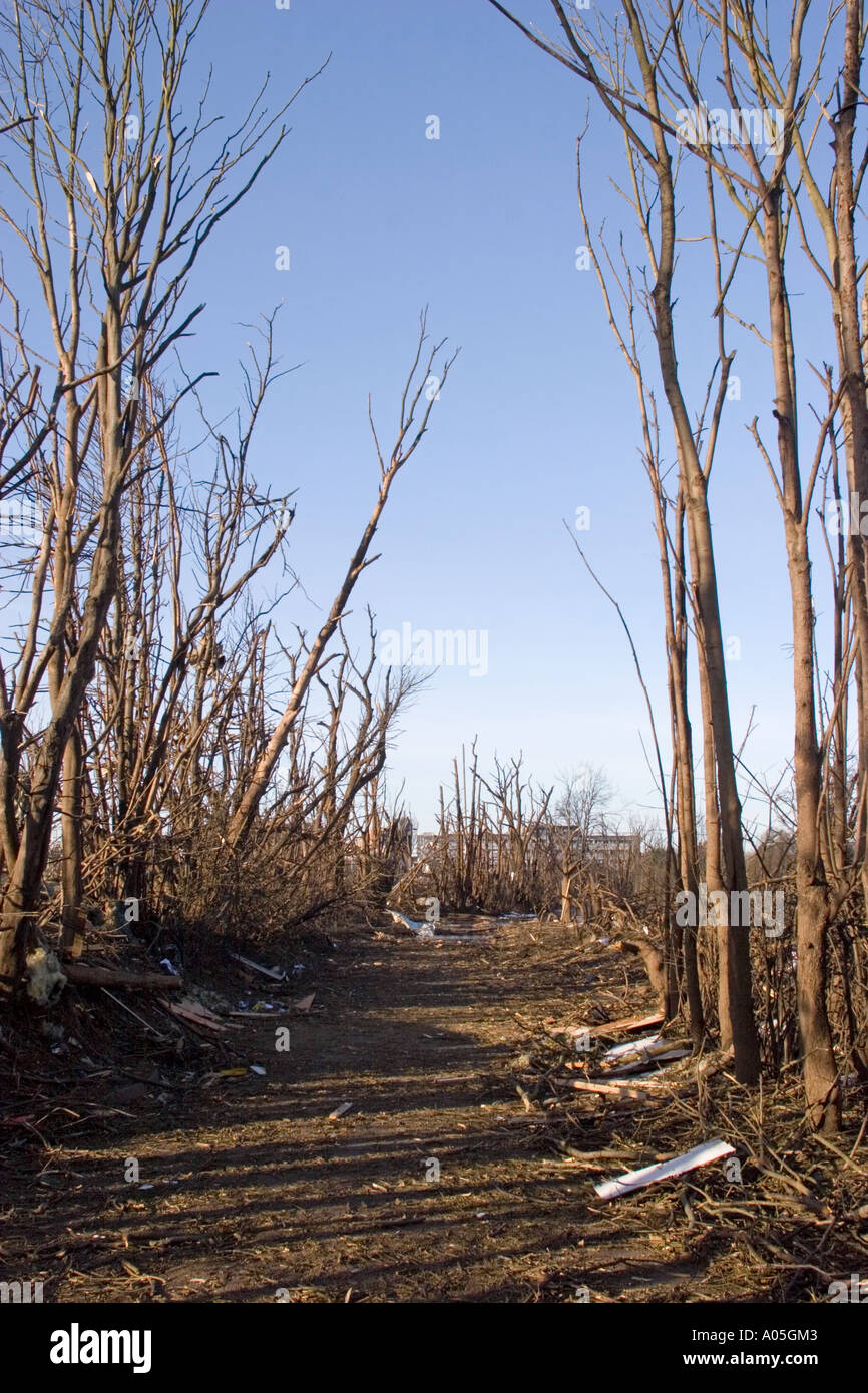 Buncefield Oil Depot Fire aftermath Cherry Tree Lane Hemel