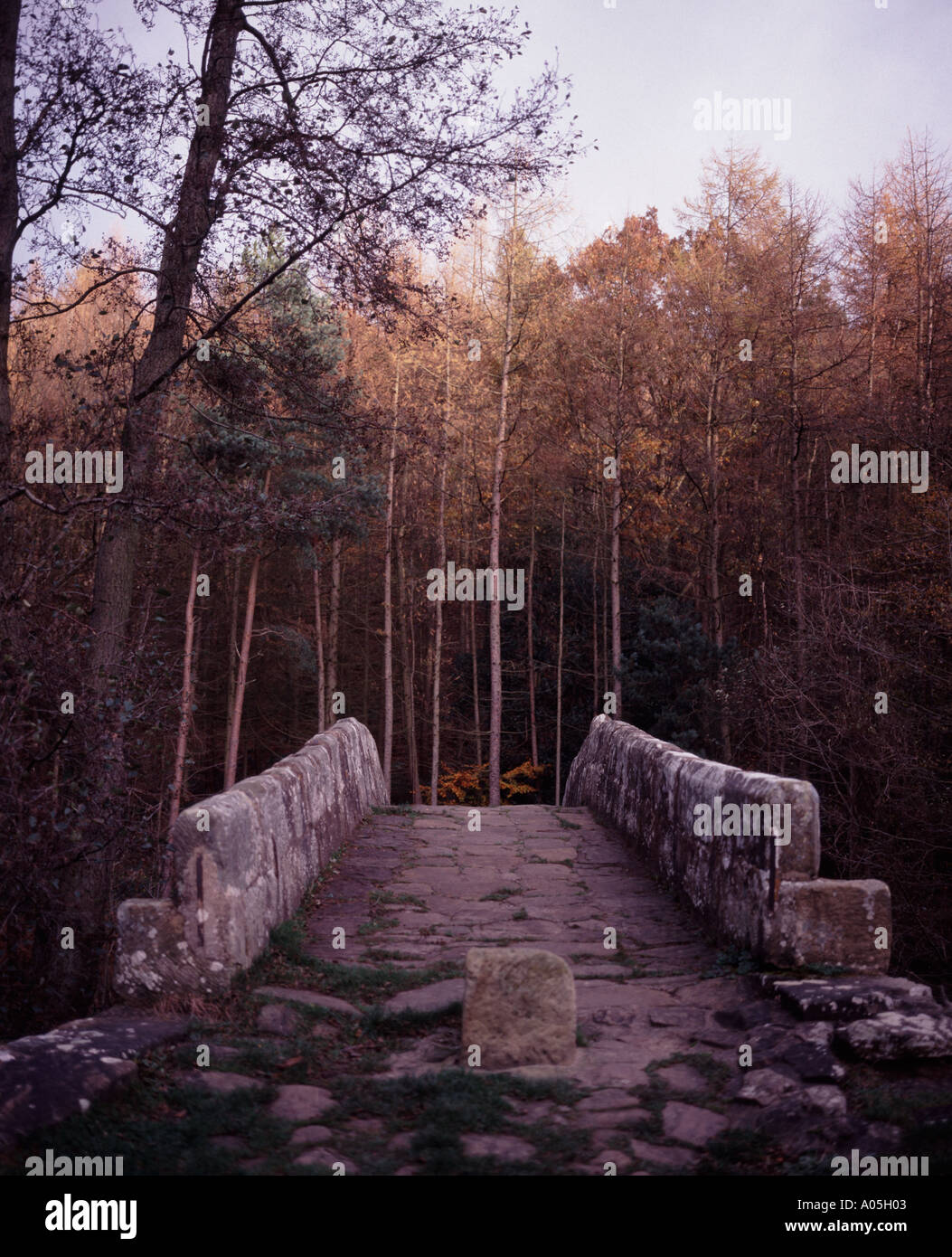 Beggars Bridge Stock Photos & Beggars Bridge Stock Images - Alamy
