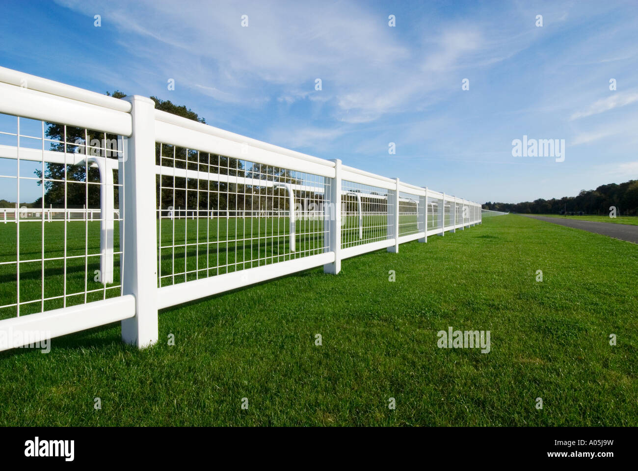 Horse racecourse fence, Ascot Stock Photo