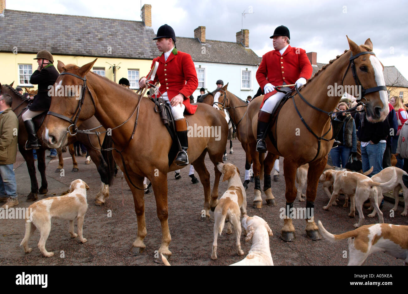 Is Hunting With Dogs Legal In The Uk