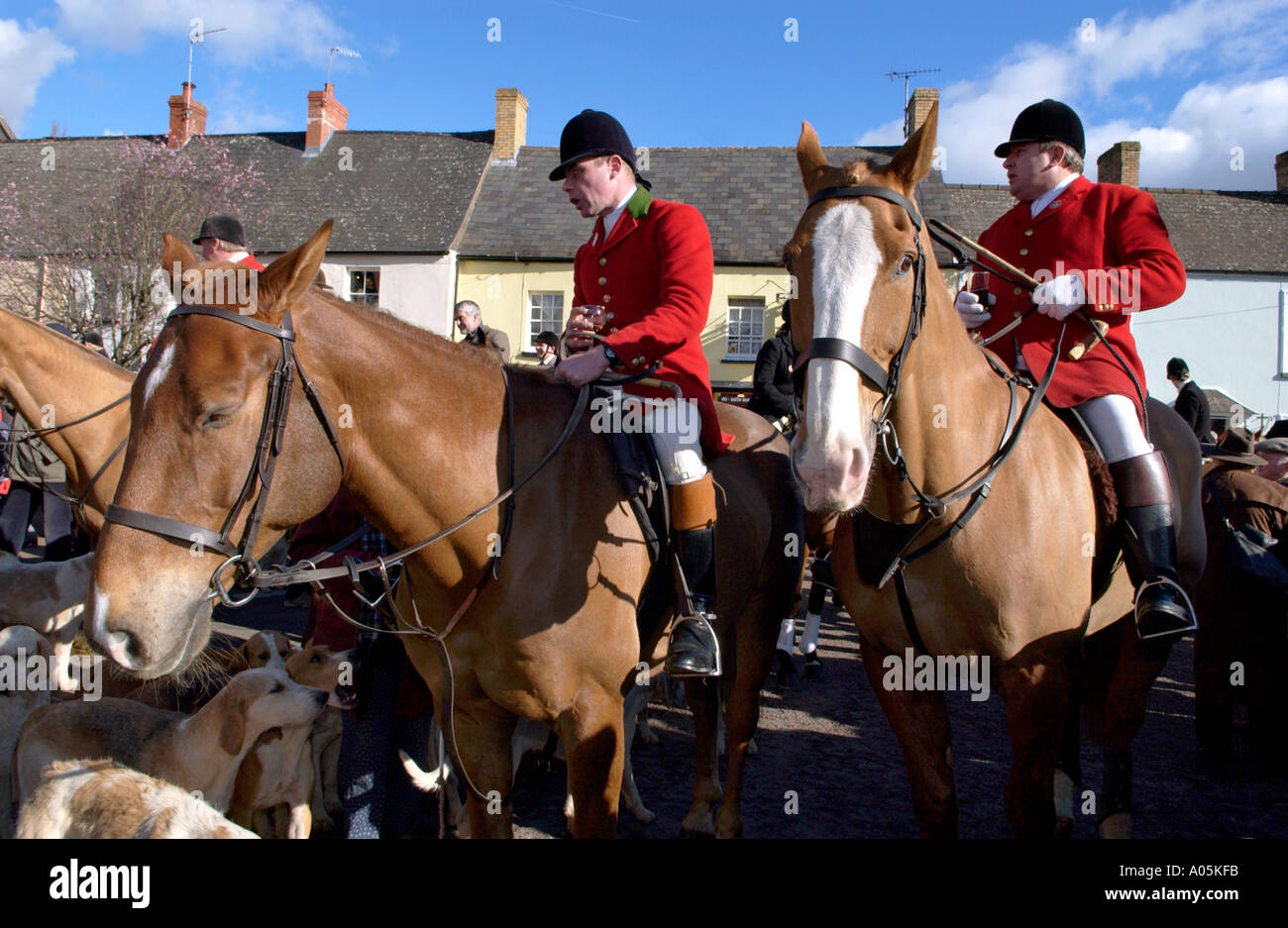 Huntsmen on horseback in red coats with hounds gather for fox hunt meeting in UK Stock Photo