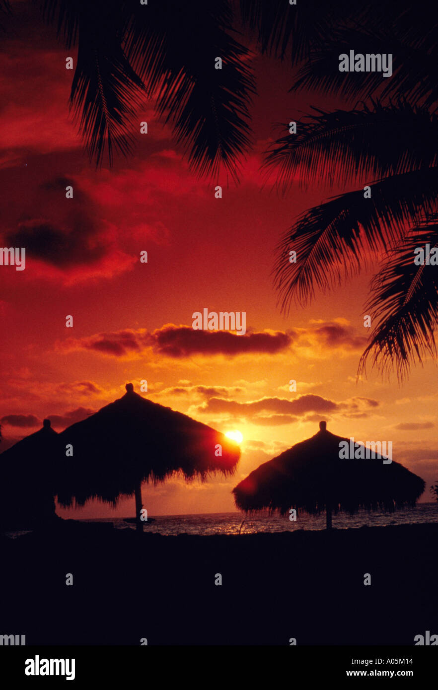 Illuminated canopies hires stock photography and images Alamy