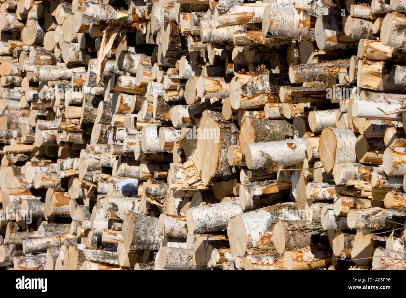 Pile birch logs background hi res stock photography and images Alamy