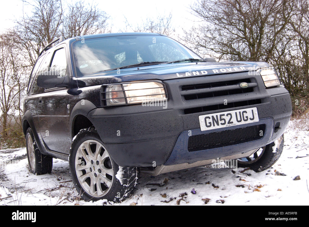 Forist Rover Forest rover Cut Out Stock Images & Pictures - Alamy