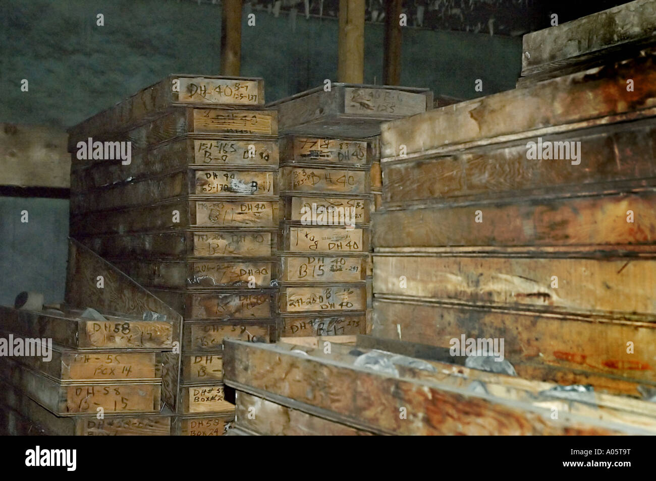 Stacks of old wooden boxes, core samples, and geological archives in storage Stock Photo