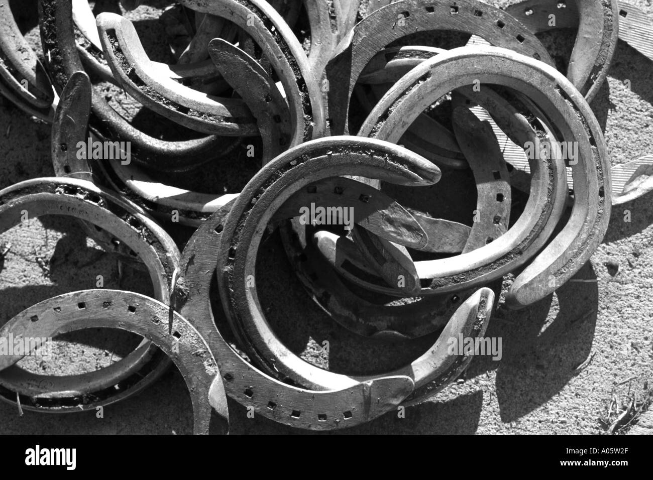 black and white of horseshoes Stock Photo Alamy