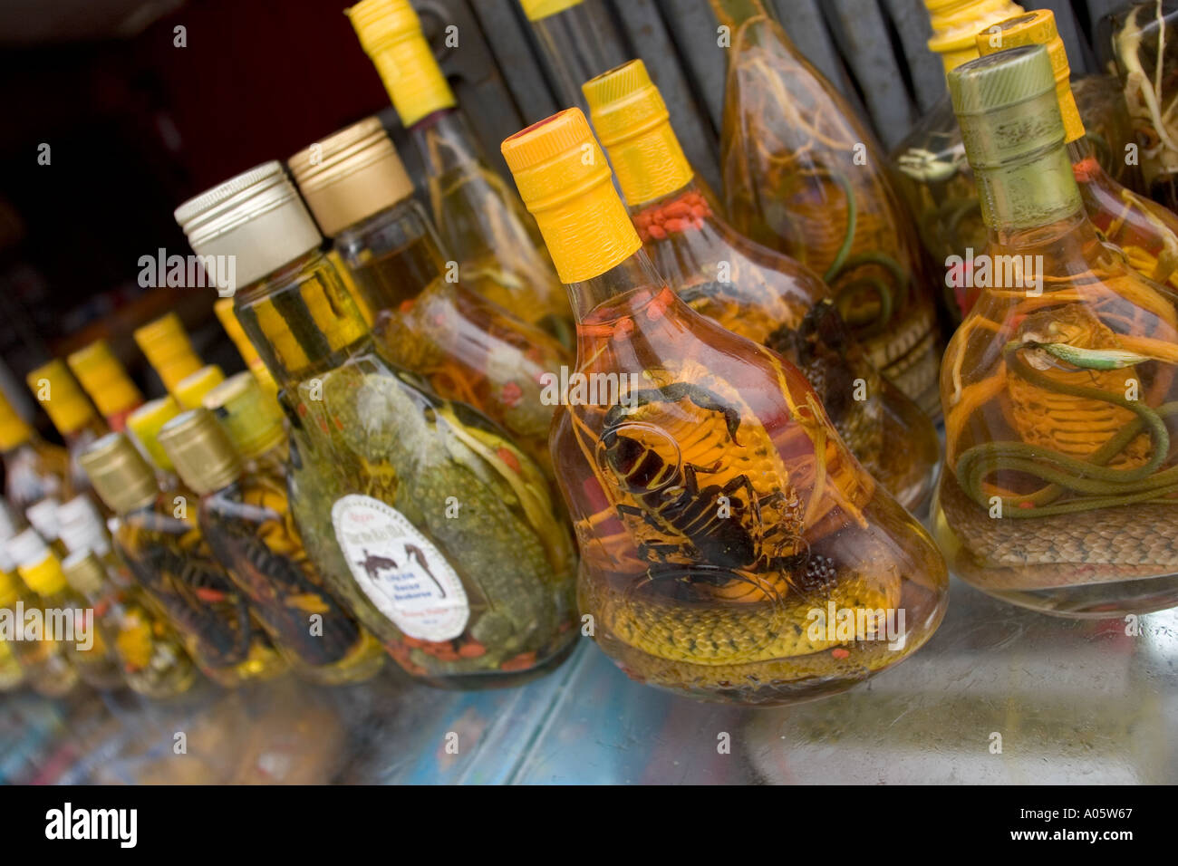 Vietnam northwest Sapa morning market medicinal liquor flavoured with ...