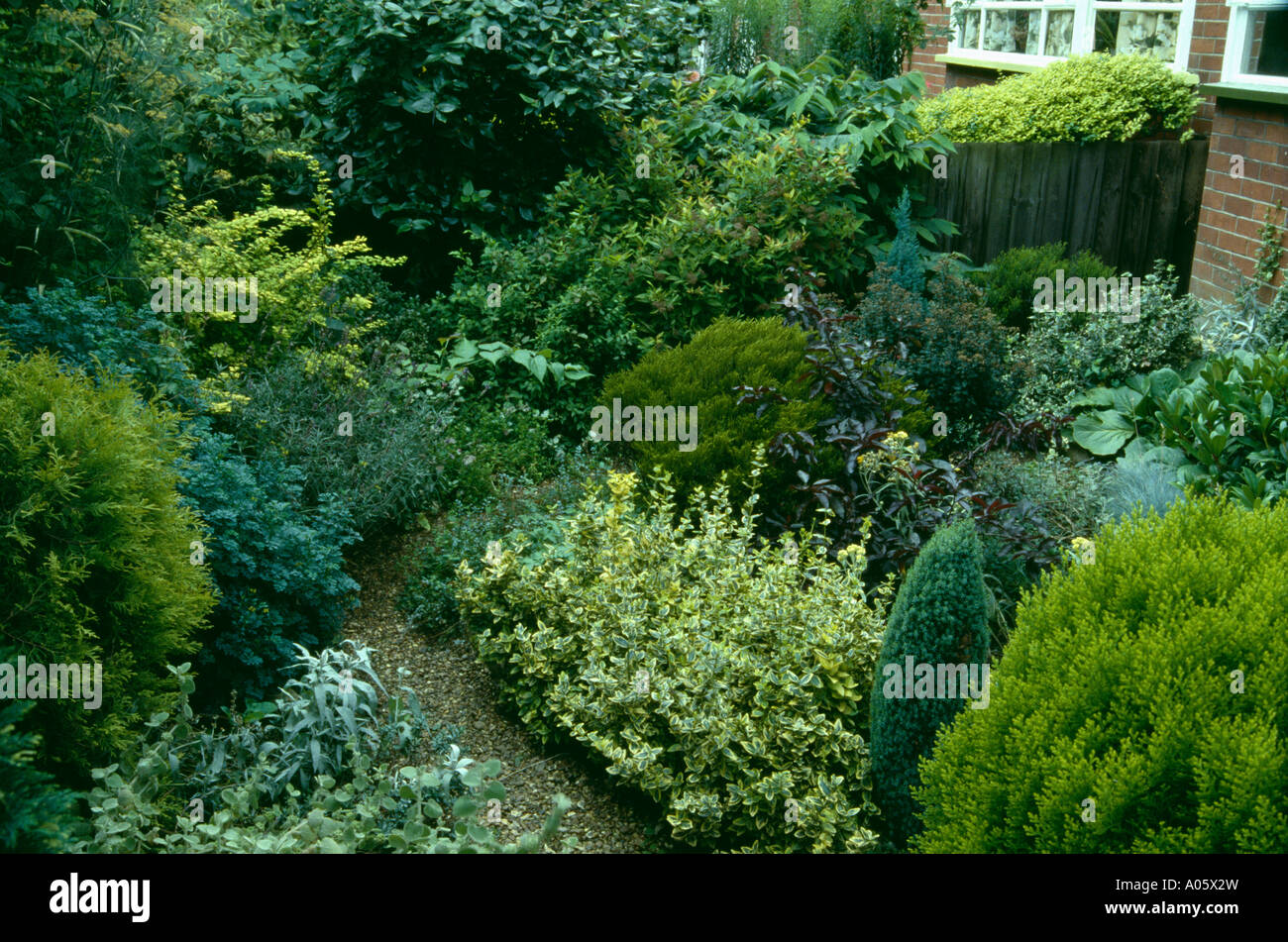 Conifers Front Garden Stock Photos & Conifers Front Garden Stock Images